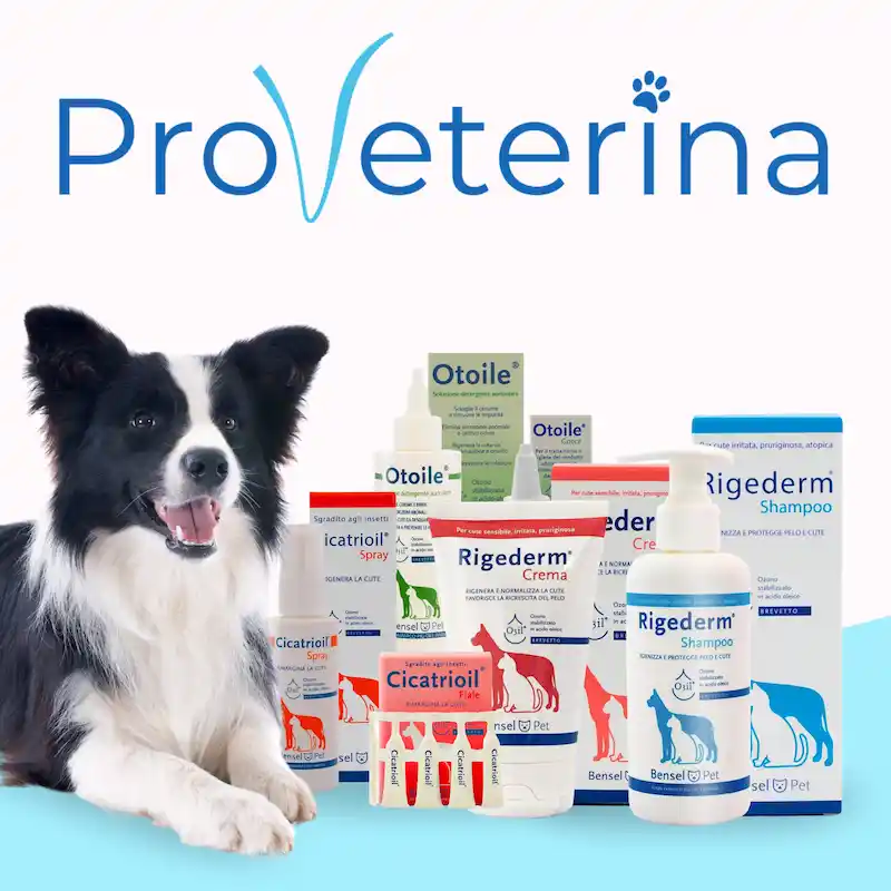 Proveterina – dokumenty ke stažení