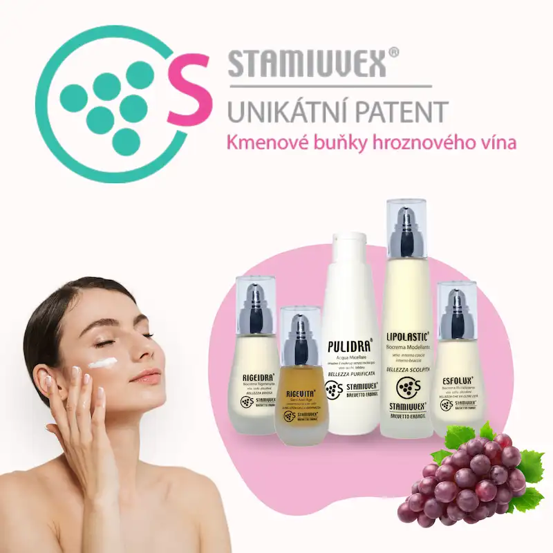 STAMIUVEX – dokumenty ke stažení